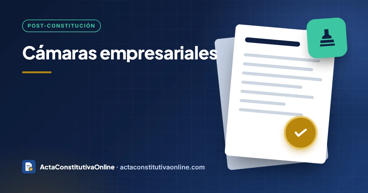 Cámaras empresariales: qué son y si debes afiliarte